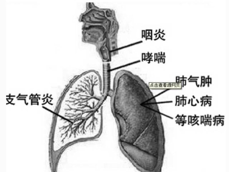 哮喘专科医院：共筑呼吸健康线